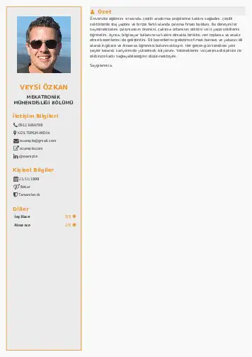 Mekatronik Mühendisliği Cv Örnekleri cv indir